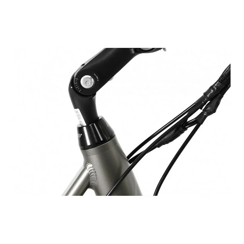 BICICLETA ELÉCTRICA MONTY E-LEMENTAL 5 BICICLETA ELÉCTRICA MONTY E-LEMENTAL - Imagen 5