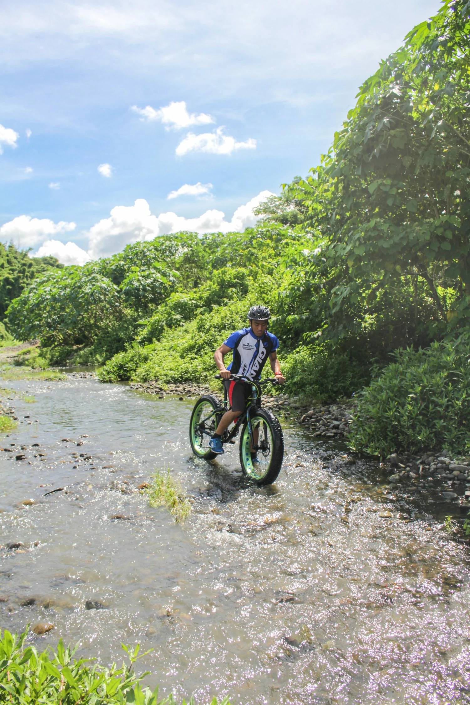 BICICLETAS Ventas 34 BICICLETAS Ventas -BICICLETAS Ventas pexels do castle 2263912 scaled